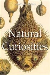 Book cover of Natural Curiosities by Alfred Russel Wallace