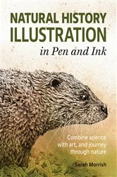 Book cover of Natural History Illustration in Pen and Ink by Sarah Morrish