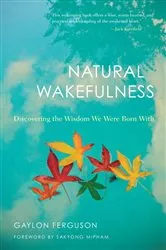 Book cover of Natural Wakefulness by Gaylon Ferguson