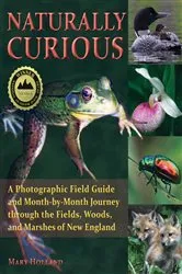 Book cover of Naturally Curious by Mary Holland