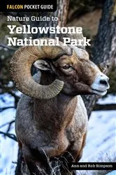 Book cover of Nature Guide to Yellowstone National Park by Ann Simpson