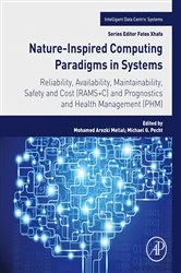 Book cover of Nature-Inspired Computing Paradigms in Systems by Mohamed Arezki Mellal PhD