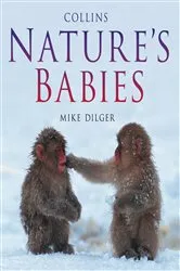 Book cover of Nature’s Babies by Unknown