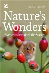 Book cover of Nature’s Wonders by Jane V. Adams