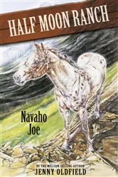 Book cover of Navaho Joe by Jenny Oldfield