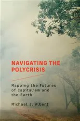 Book cover of Navigating the Polycrisis by Unknown