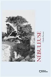 Book cover of Nébuleuse by Charlie Dervaux