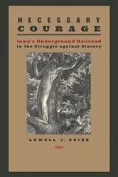 Book cover of Necessary Courage by Lowell J. Soike
