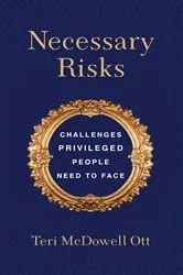 Book cover of Necessary Risks by Abby Stoddard