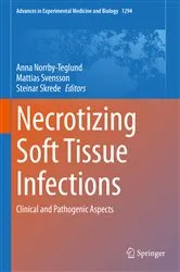 Book cover of Necrotizing Soft Tissue Infections by Anna Norrby-Teglund