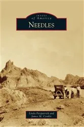 Book cover of Needles by James M. Conkle