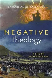 Book cover of Negative Theology by Johannes Aakjær Steenbuch