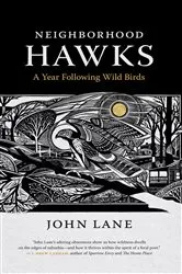 Book cover of Neighborhood Hawks by John Lane