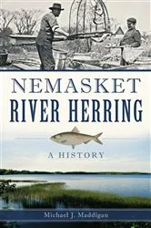Book cover of Nemasket River Herring by Michael J. Maddigan