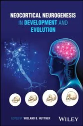 Book cover of Neocortical Neurogenesis in Development and Evolution by Wieland B. Huttner