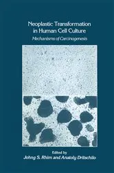 Book cover of Neoplastic Transformation in Human Cell Culture by Johng S. Rhim