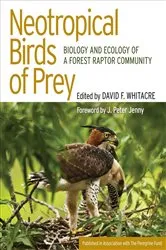 Book cover of Neotropical Birds of Prey by David Whitacre