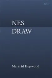 Book cover of Nes Draw by Mererid Hopwood