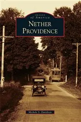 Book cover of Nether Providence by Michele S. Davidson