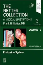 Book cover of Netter Collection of Medical Illustrations: Endocrine System, Volume 2 - E-book (3rd ed.) by William F. Young MD