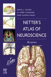 Book cover of Netter's Atlas of Neuroscience E-Book (4th ed.) by Felten MD, PhD, David L.