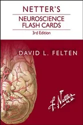 Book cover of Netter's Neuroscience Flash Cards E-Book (3rd ed.) by Felten MD, PhD, David L.