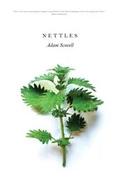 Book cover of Nettles by Unknown