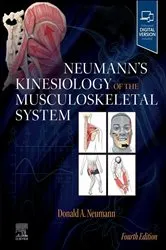 Book cover of Neumann's Kinesiology of the Musculoskeletal System - E-Book (4th ed.) by Neumann PT, Ph.D., FAPTA, Donald A.