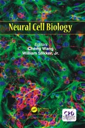 Book cover of Neural Cell Biology by Cheng Wang