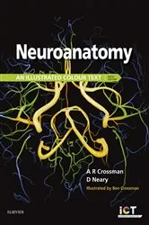 Book cover of Neuroanatomy E-Book (6th ed.) by Crossman PhD, DSc, Alan R.