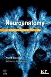 Book cover of Neuroanatomy: Illustrated Colour Text - E-Book (7th ed.) by Crossman PhD, DSc, Alan R.