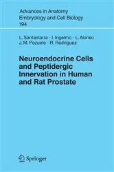 Book cover of Neuroendocrine Cells and Peptidergic Innervation in Human and Rat Prostrate by Unknown