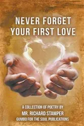 Book cover of Never Forget Your First Love by Richard Stamper