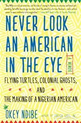 Book cover of Never Look an American in the Eye by Okey Ndibe