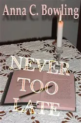 Book cover of Never Too Late by Danielle Steel