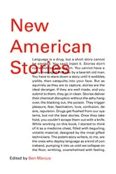 Book cover of New American Stories by Unknown
