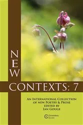 Book cover of New Contexts by Ian Gouge