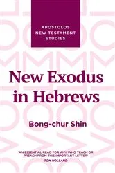 Book cover of New Exodus in Hebrews by Bong Chur Shin
