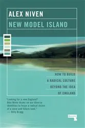 Book cover of New Model Island by Alex Niven