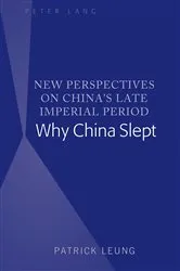 Book cover of New Perspectives on China’s Late Imperial Period by Patrick Leung