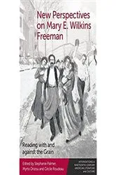 Book cover of New Perspectives on Mary E. Wilkins Freeman by Stephanie Palmer