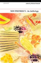 Book cover of New Poetries V by Michael Schmidt