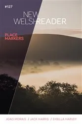Book cover of New Welsh Reader 127 by Gwen Davies