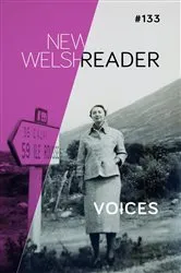 Book cover of New Welsh Reader 133 by Elizabeth Griffiths