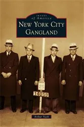 Book cover of New York City Gangland by Arthur Nash