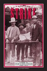 Book cover of Next Time We Strike by Allan Powell