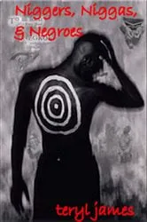 Book cover of Niggers, Niggas And Negroes: Part one by Teryl James