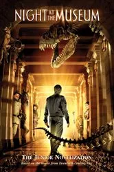 Book cover of Night at the Museum by Leslie Goldman