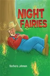 Book cover of Night Fairies by Barbara Johnson