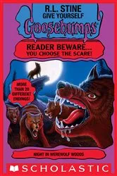 Book cover of Night In Werewolf Woods by R.L. Stine